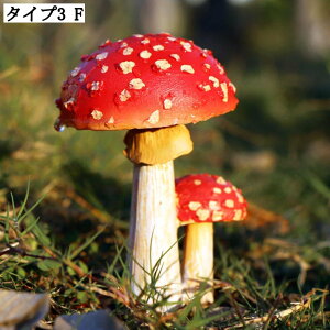 낢LmRu { Jg[I[ig  K[fI[ig O z[K[f ɒu ObY  | ̂IuWF CeAG K