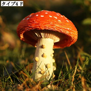 낢LmRu { Jg[I[ig  K[fI[ig O z[K[f ɒu ObY  | ̂IuWF CeAG K