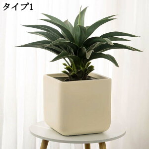 傫v^[ XNGA Zg A|bg ؍͔| ԍ͔| t[|bg ؔ K[fjOpi 22*21cm Aؔ ̒ɔrt AeB[N n[u T{e|bg 