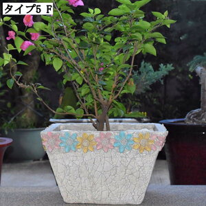 Zg K[fjOCeA w̍Aؔ Ae ^ ϗtAAؔ v^[ t[|bg K[f|bg |pi CeA AeB[N 傫 