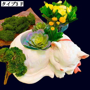 LIuWF ϗtA Aؔ CeAG Aj}IuWF z[K[f ގ i ^Aؔ Ae pv^[ K[fI[ig Ȓu 