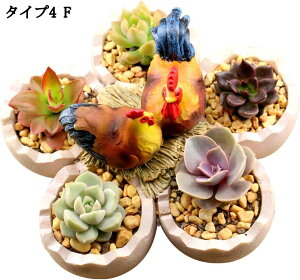 EOpv^[ 킢 K[fIuWF  ̃CeA K[fI[ig K[fjOu AEghA ɒu a ̑蕨 X^CbV T{e