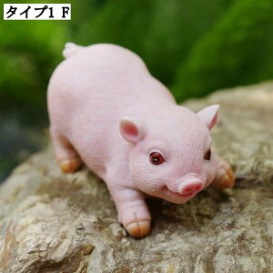 CeA IuWF  u K[fjO Ő  IuWF _ Ȓu z[CeA IuWF kH|i i A AeB[N u ~