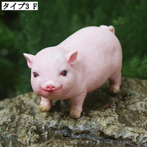 CeA IuWF  u K[fjO Ő  IuWF _ Ȓu z[CeA IuWF kH|i i A AeB[N u ~