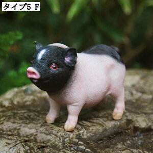 CeA IuWF  u K[fjO Ő  IuWF _ Ȓu z[CeA IuWF kH|i i A AeB[N u ~