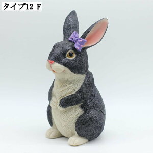   u K[fjO I[ig  K[fIuWF 뒤 ̒u CeAG ̏ ~jIuWF ȃfR[V v[gɂœK 