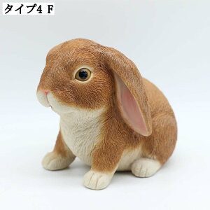   u K[fjO I[ig  K[fIuWF 뒤 ̒u CeAG ̏ ~jIuWF ȃfR[V v[gɂœK 