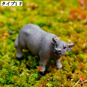 ~j`AIuWF 񂹐A K[fjOu ̑  ̒u 킢 fR[V }CNi CeAG ȏ蕨 O A ~͏ Aj}