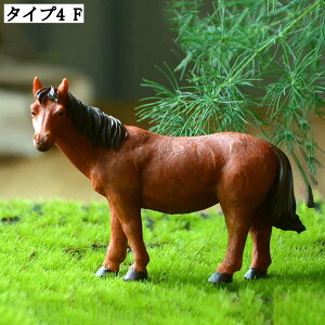 ~j`AIuWF 񂹐A K[fjOu ̑  ̒u 킢 fR[V }CNi CeAG ȏ蕨 O A ~͏ Aj}