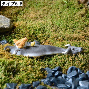 ~j`AIuWF 񂹐A K[fjOu ̑  ̒u 킢 fR[V }CNi CeAG ȏ蕨 O A ~͏ Aj}