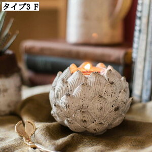 IVȃLhz_[ 킢 CeA LhX^h z[CeA XC k CeAG ACAi Jt ւɒuu fR[