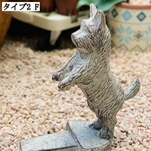  u AeB[N K[fI[ig ACA K[fjO  G CeA | ʔ ObY K[fIuWF  A pIuWF H|i r