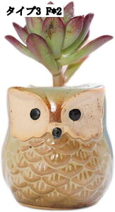 K[fI[ig 2Zbg CeAG  ~j`A IuWF v^[ t[|bg ~jAKp CeA Aؔ T{e IuWF u T{e|b