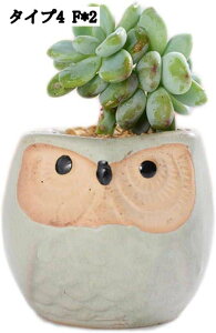 K[fI[ig 2Zbg CeAG  ~j`A IuWF v^[ t[|bg ~jAKp CeA Aؔ T{e IuWF u T{e|b