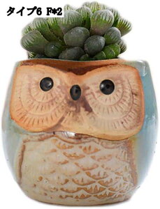 K[fI[ig 2Zbg CeAG  ~j`A IuWF v^[ t[|bg ~jAKp CeA Aؔ T{e IuWF u T{e|b