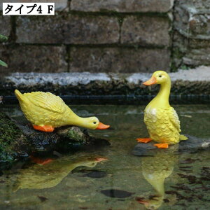 ̃AqI[ig ̒u K[fjOIuWF CeA fR[V O Ő ގ Aj}G ȃK[f Ԓd 킢G 