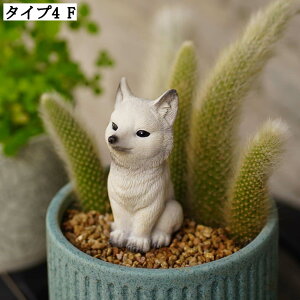 킢Lu K[fIuWF  CeAG XgX 낢 K[fjO  IuWF O  ObY |G Aj}tBMA 