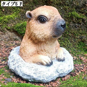 킢Lu K[fIuWF  CeAG XgX 낢 K[fjO  IuWF O  ObY |G Aj}tBMA 