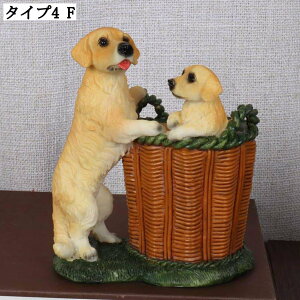 AȌ̃y e M  [ ItBX 킢 ʔv[g CeA [ fXNgbv yX^h ObY wZ [ u pi 