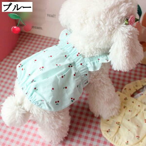  s[X  ^  ʋC  _炩 hbOEFA O Ă΍ CG[ 畆ی  ی JWA   ^ ^ ̎q hX XJ[