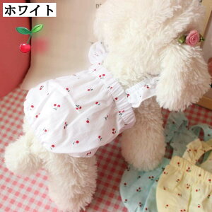  s[X  ^  ʋC  _炩 hbOEFA O Ă΍ CG[ 畆ی  ی JWA   ^ ^ ̎q hX XJ[