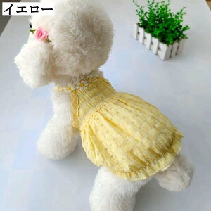  s[X  S ^ ^ ʋC hX XJ[g Pl ybgp ^ CG[ q ̎q `̕ hbOEFA ybgm t Eѕی Ăh~ LOBe 