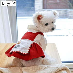 XS    ^ ^   ̎q m ybg hbOEGA q L 悯 U ʋC  y  `̕ ybgEFA ₷ s[X  H~ 