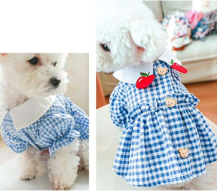 楽天市場】犬の服 犬服 猫服 ワンピース スカート ドレス ブルー 