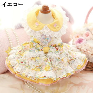 ybg  ėp s[X   _炩 Ăh~ Eѕی CG[  ^ ^ XS tČ Pl hX ʋC  y Up ` pm ybg