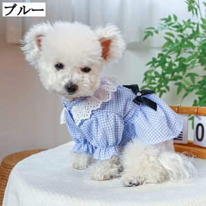    킢 t  XS ^ s[X ybg ؍ Up y ʋC hbOEFA hX [X ^   o LOBe ĕ L U  