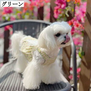   킢  t  ₷ s[X ؍ O[ ybg ^ ^ efB gCv[h ` ʋC y Up hX XJ[g sN _炩 hb