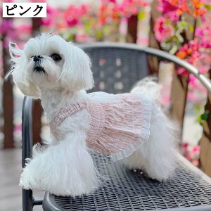   킢  t  ₷ s[X ؍ O[ ybg ^ ^ efB gCv[h ` ʋC y Up hX XJ[g sN _炩 hb