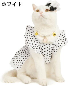   ė s[X hbOEFA XS zCg Pl 킢 XJ[g m hX ̎q RX`[ t H ʋC t@bV a ^ ^  L 