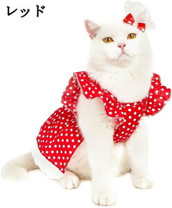   ė s[X hbOEFA XS zCg Pl 킢 XJ[g m hX ̎q RX`[ t H ʋC t@bV a ^ ^  L 