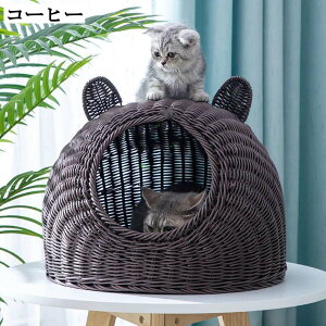 ^ L xbh JS Lpxbh ybgxbh ėp LnEX ҂ ʋC ˂ LbgnEX O[ ^  pP[W L 􂦂 38*38cm  ҂ݕ LQ x