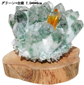 VR  NX^[ u t  J^ CeA p[Xg[  O[ 7.5*9*9cm /N~  av[g Ǝ 蕨