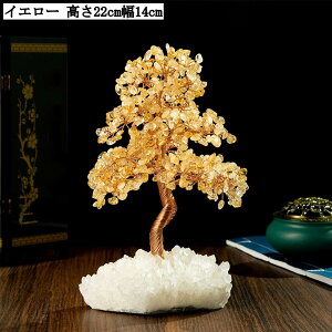  J^ObY VR NX^c[ u p[Xg[ ^ ^ d^  CeA v[g Mtg 22cm 14cm CG[ O[ F p[v sN F u[ 