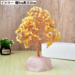  J^ObY NX^c[ VR u p[Xg[ ^ ^ d^ K^ ObY   CeA i v[g Mtg CG[ p[v sN ʐF 9cm 