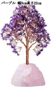  J^ObY NX^c[ VR u p[Xg[ ^ ^ d^ K^ ObY   CeA i v[g Mtg CG[ p[v sN ʐF 9cm 