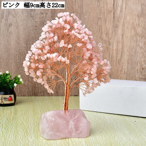  J^ObY NX^c[ VR u p[Xg[ ^ ^ d^ K^ ObY   CeA i v[g Mtg CG[ p[v sN ʐF 9cm 