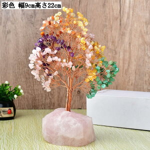  J^ObY NX^c[ VR u p[Xg[ ^ ^ d^ K^ ObY   CeA i v[g Mtg CG[ p[v sN ʐF 9cm 