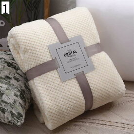 ブランケット 毛布 ひざ掛け ダブル 北欧 冬 フランネル あたたかい 柔らかい マイクロファイバー 45*65cm 掛け毛布 あったか 冬用 無地 ふんわり生地 肌掛け布団 両面使える 丸洗い 吸湿保温 防ダニ 快適 椅子 ふわふわ もこもこ