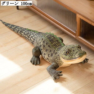 Aȃjʂ 100cm ^ ʂ  Be _炩  CeA v[g 蕨 nEB