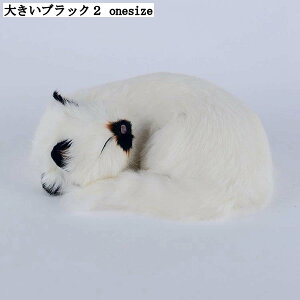 ALʂ ˂ u    ё ӂӂ f VM[  ʂ 킢 LbY v[g ԗp Be z[fR[V