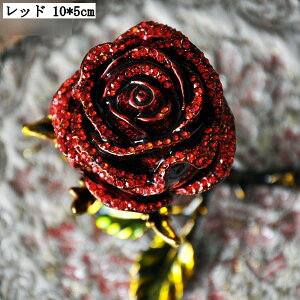 [Y^ ANZT[P[X  CeA u ^ WG[[ OP[X Δ Mtg o^Cf[ ̓ bh 10*5cm