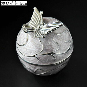 AeB[N WG[{bNX ی` Δ ANZT[[  CeA OP[X zCg 5cm