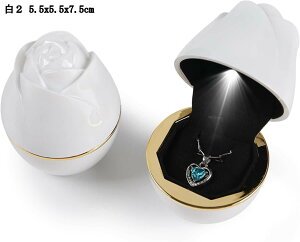 킢õO{bNX LEDWG[{bNX wփP[X ANZT[[ uXbg[ gїpΔ  H