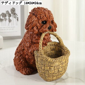 ̒u ֎[ [ 킢   oXPbg[ u rvu R[   CeA av[g Vzj efBhbO S[f