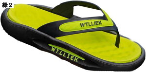 gOT_ EVA Y  r[`T_ t  jp fC[T_ NbV ~ ϋv 芴 K RtH[g