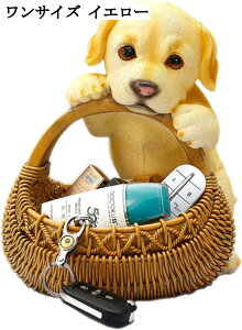  u 킢 uh[ L[[ ֎[ u [ CeAG av[g Vzj [ rvu R LfB[ oXPbg CG[ zCg